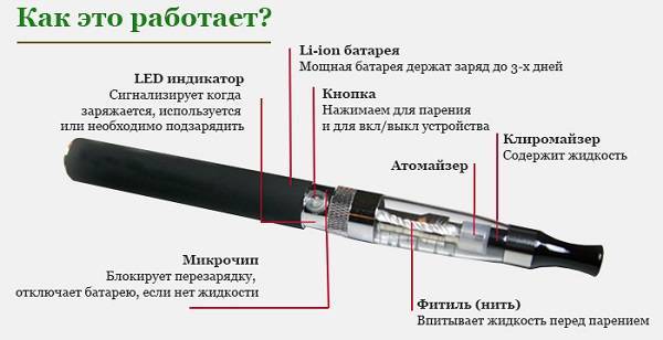 Рыбка плюется электричеством!