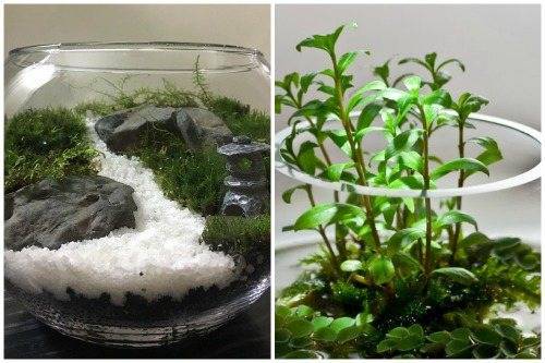 Вабикуса, как произведение искусства!