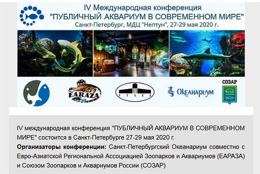 Итоги конференции "аквариум как средство познания мира" 2019
