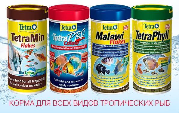 Неоны обзорная статья