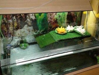 Аквариумная библиотека, книги, журналы - скачать!