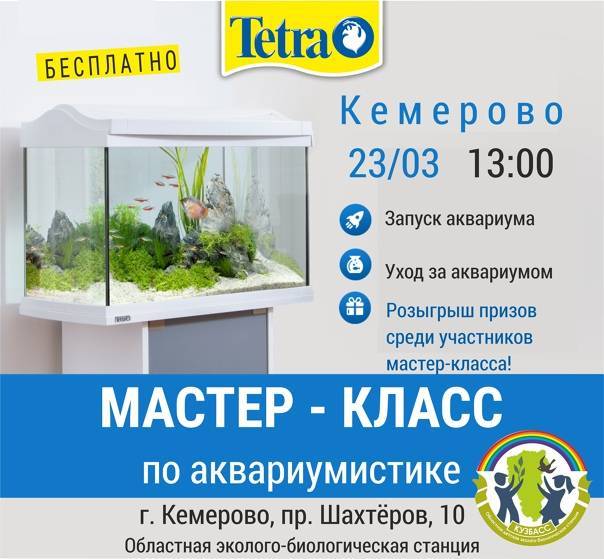 Как запустить аквариум с растениями?