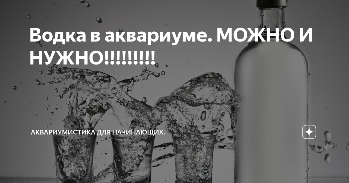 Брага для аквариума: оборудование, рецепт для со2 своими руками