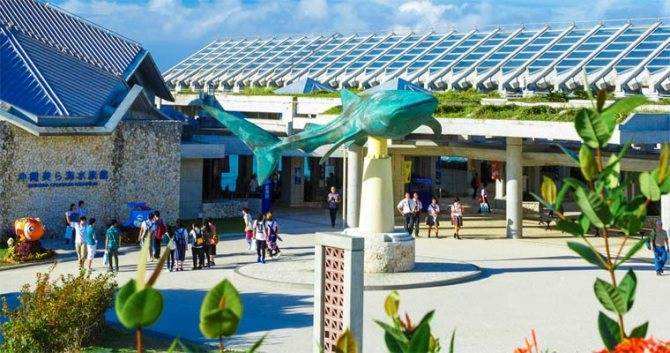 Гигантский аквариум в Японии Okinawa Churaumi Aquarium видео