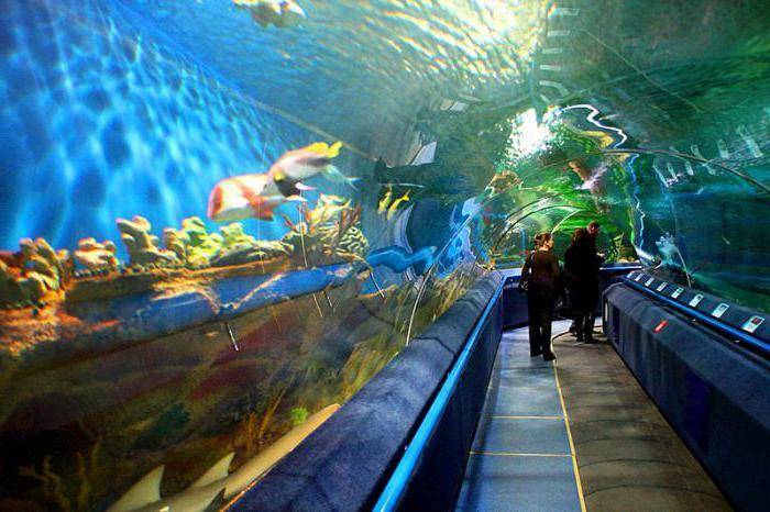 Супер-мега аквариум Берлина AquaDom