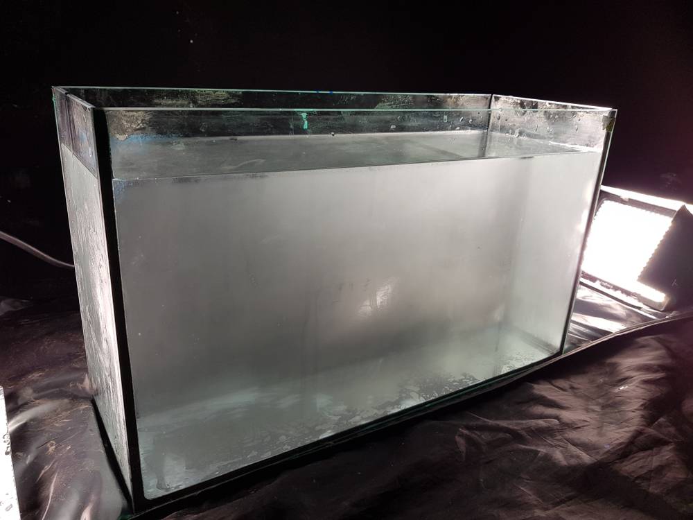 Аквариумный навигатор для начинающих, выпуск №1: "Основы аквариумистики"