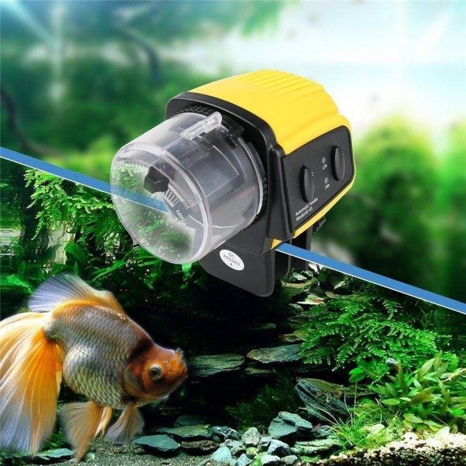 Автокормушка Tetra MyFeeder и с чем ее едят!