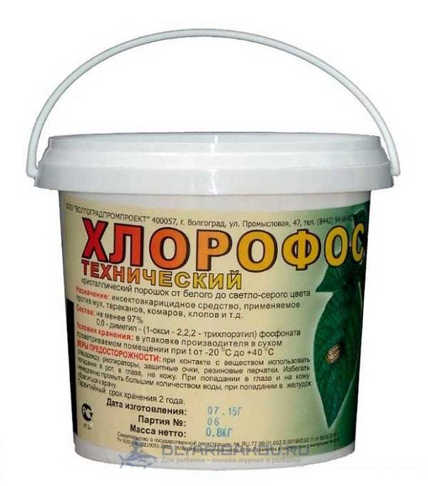 Диплостомоз
