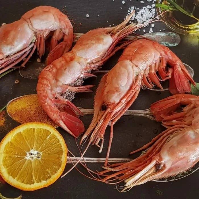 Дальневосточная креветка ее содержание и уход, отличие самки от самца и их размножение