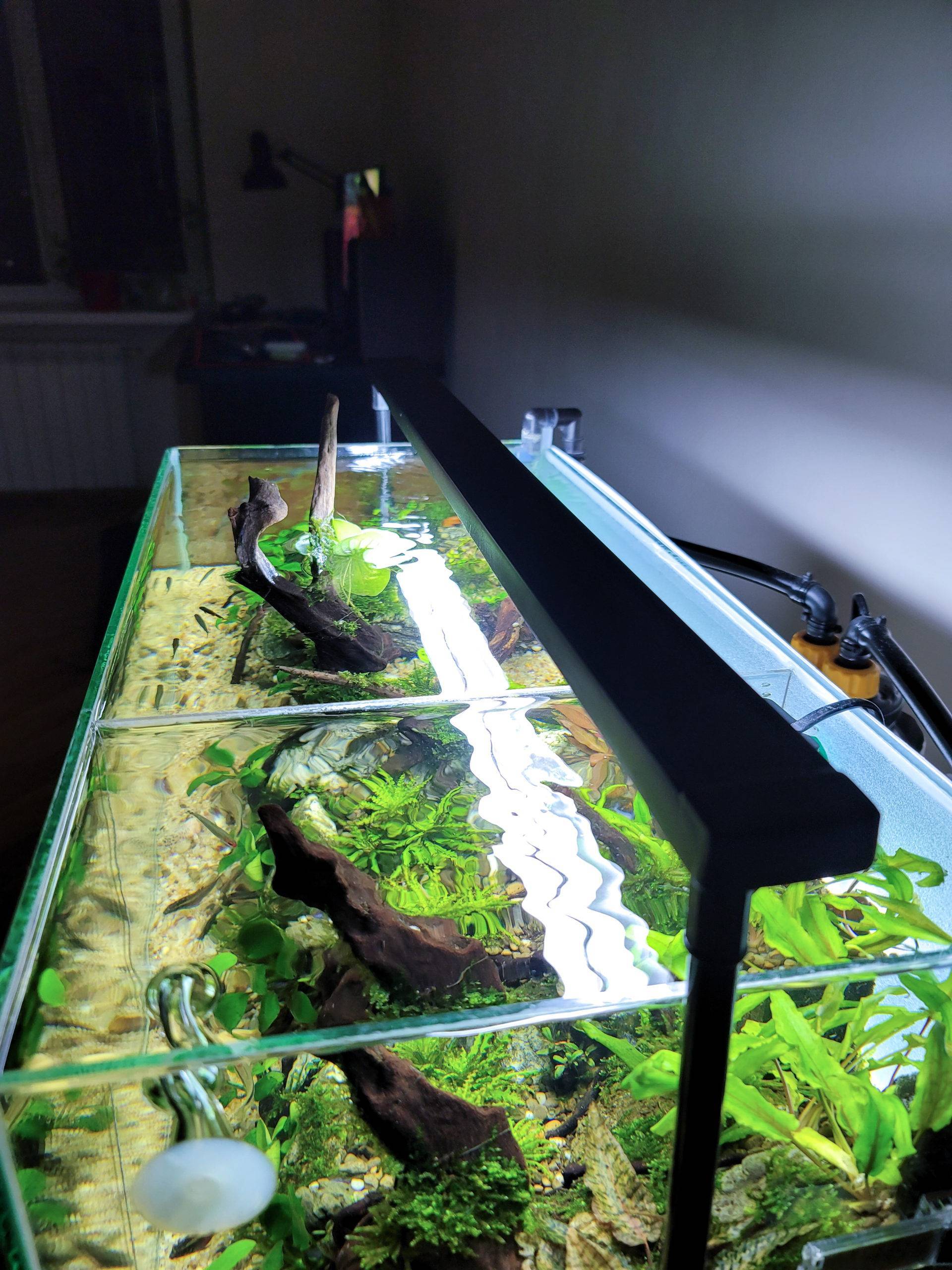 Хардскейп - наше аквариумное всё!