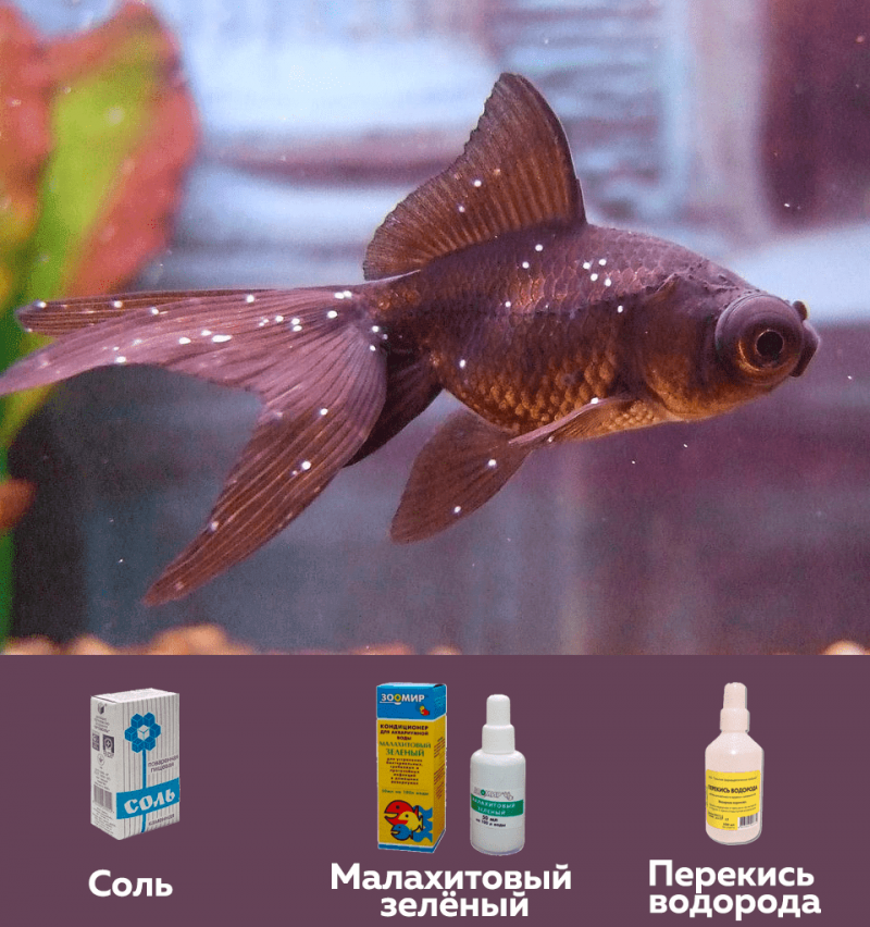 Масотен, Негивон для лечения аквариумных рыб