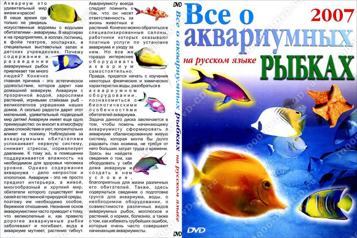 Аквариумная рыбка тетра: виды, содержание и уход, совместимость с другими рыбками, фото, размножение, кормление - kotiko.ru