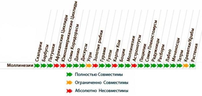Моллинезия красная