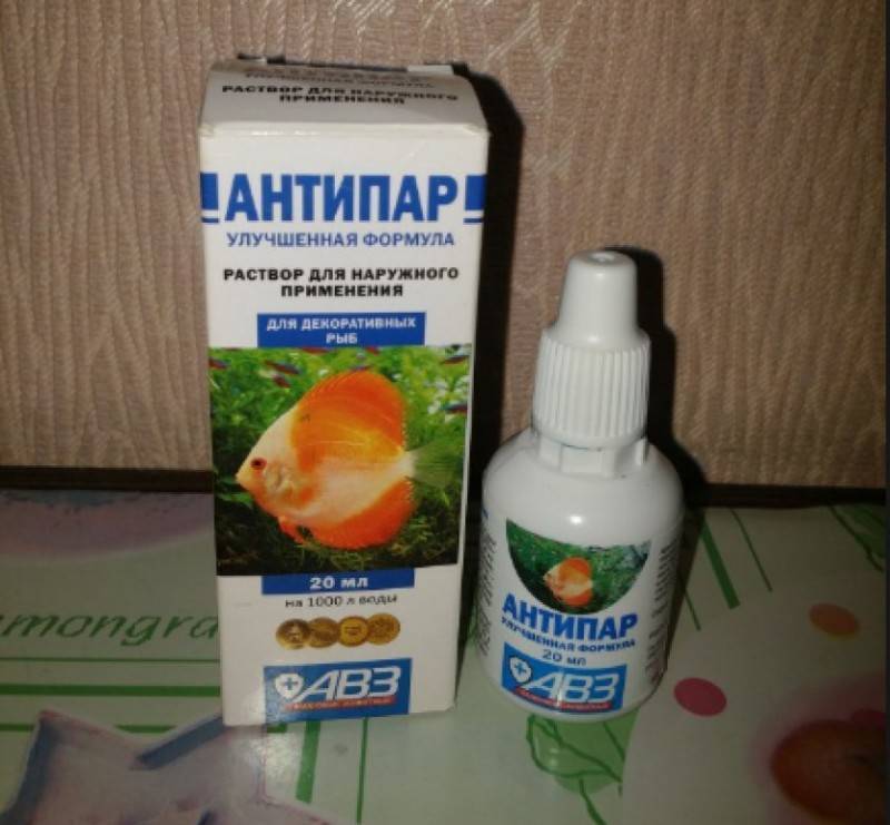 Аквариумный навигатор для начинающих, выпуск № 4: "Подводные сады Семирамиды"