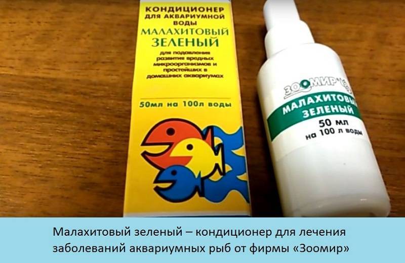 Ихтиофтириоз - (манка) у рыб: лечение в общем аквариуме