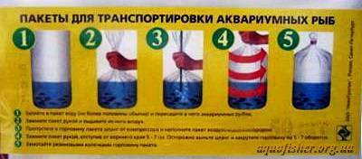 Как перевозить аквариумных рыбок - wikihow