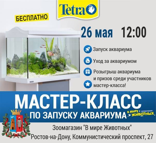 ᐉ брошюра "решение проблем в аквариуме" от компании tetra - zoogradspb.ru
