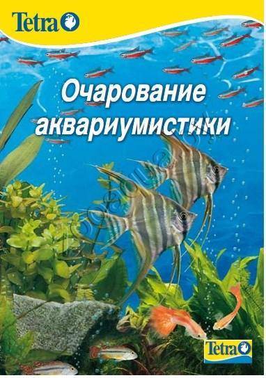 Аквариум для красноухой черепахи: содержание,уход,фото,описание. | аквариумные рыбки