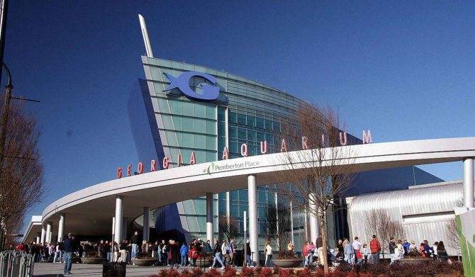 Гигантский аквариум в Японии Okinawa Churaumi Aquarium видео