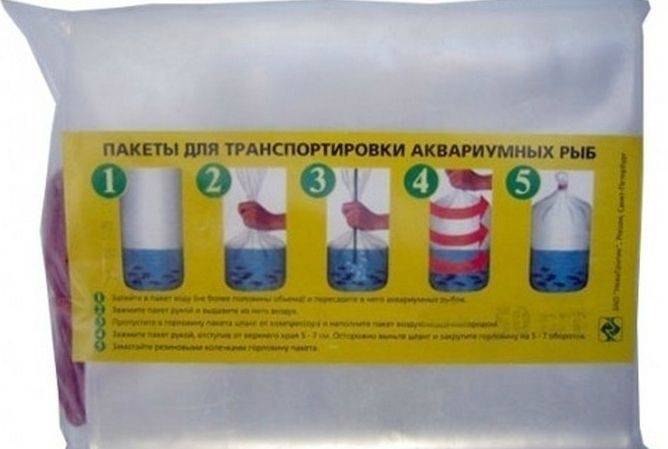 Как правильно нужно запустить аквариум в первый раз? | аквариумные рыбки