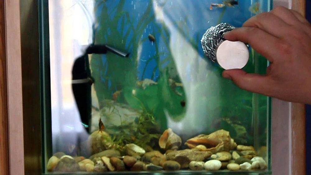 В аквариум попала: химия, мыло, краска!