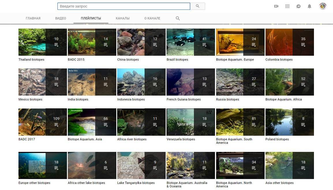 Лучшие аквариумные YouTube-каналы видео-обзор