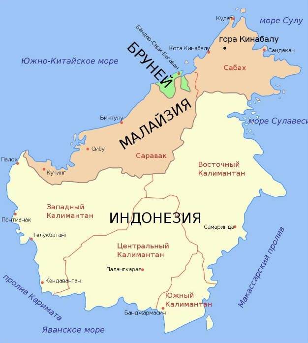 Микрорасбора эритромикрон