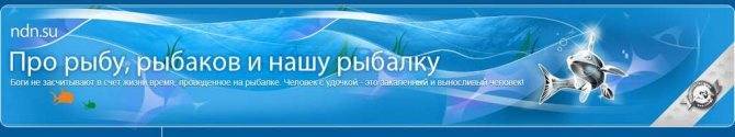 Сколько можно рыбок в аквариум 80 литров