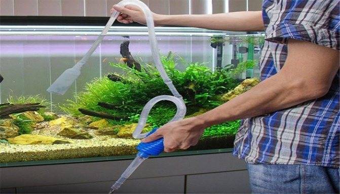 Подмена воды в травнике