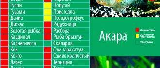 Голубая акара