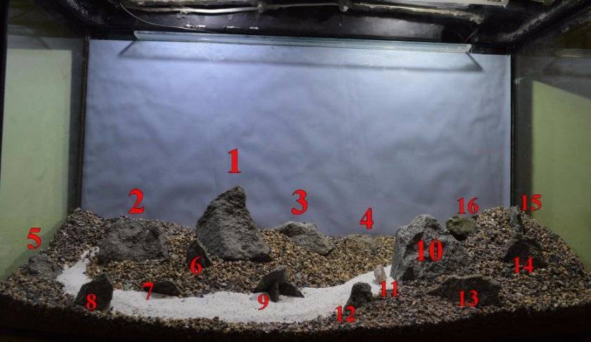 Хардскейп - наше аквариумное всё!