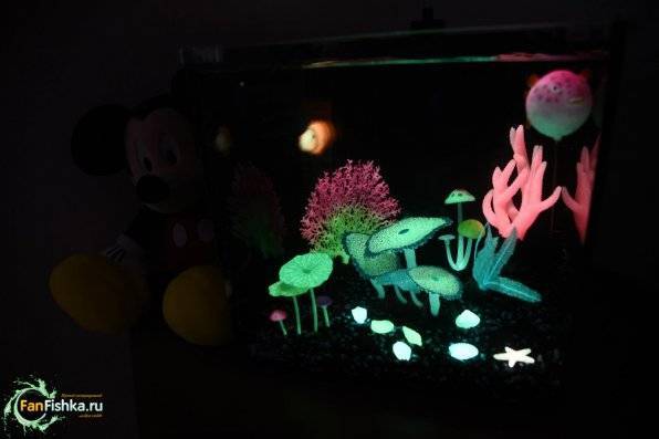 Настоящий светящийся аквариум GLOXY GLOW SET