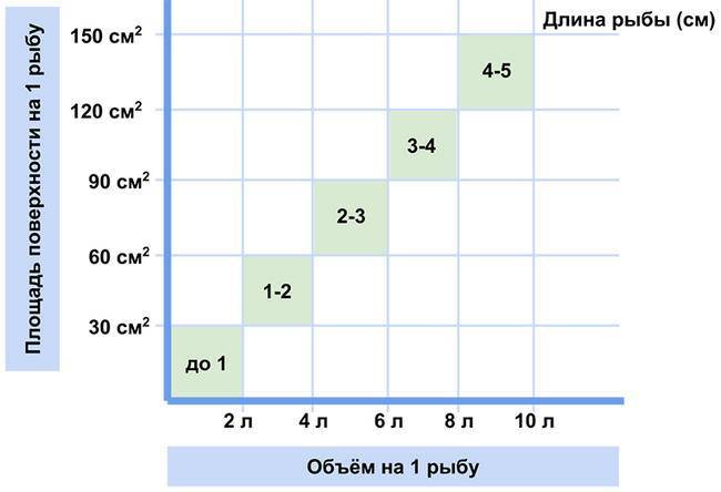 Стоит ли заводить аквариум и рыбок, какие недостатки стоит учесть?