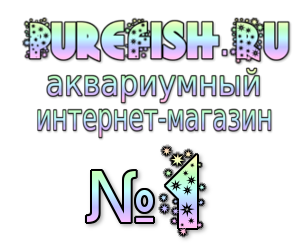 Детский сад для сомов