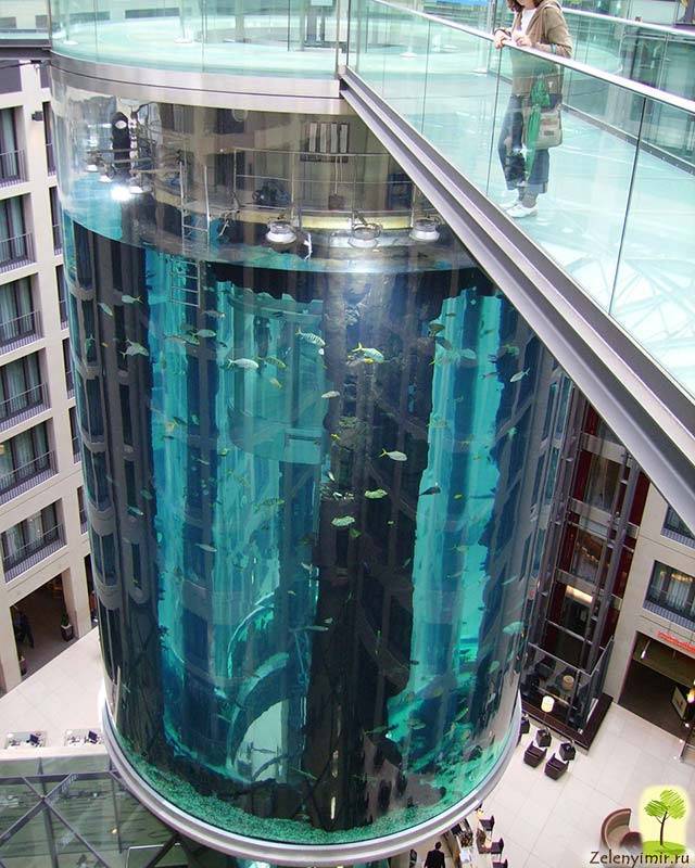 Супер-мега аквариум Берлина AquaDom