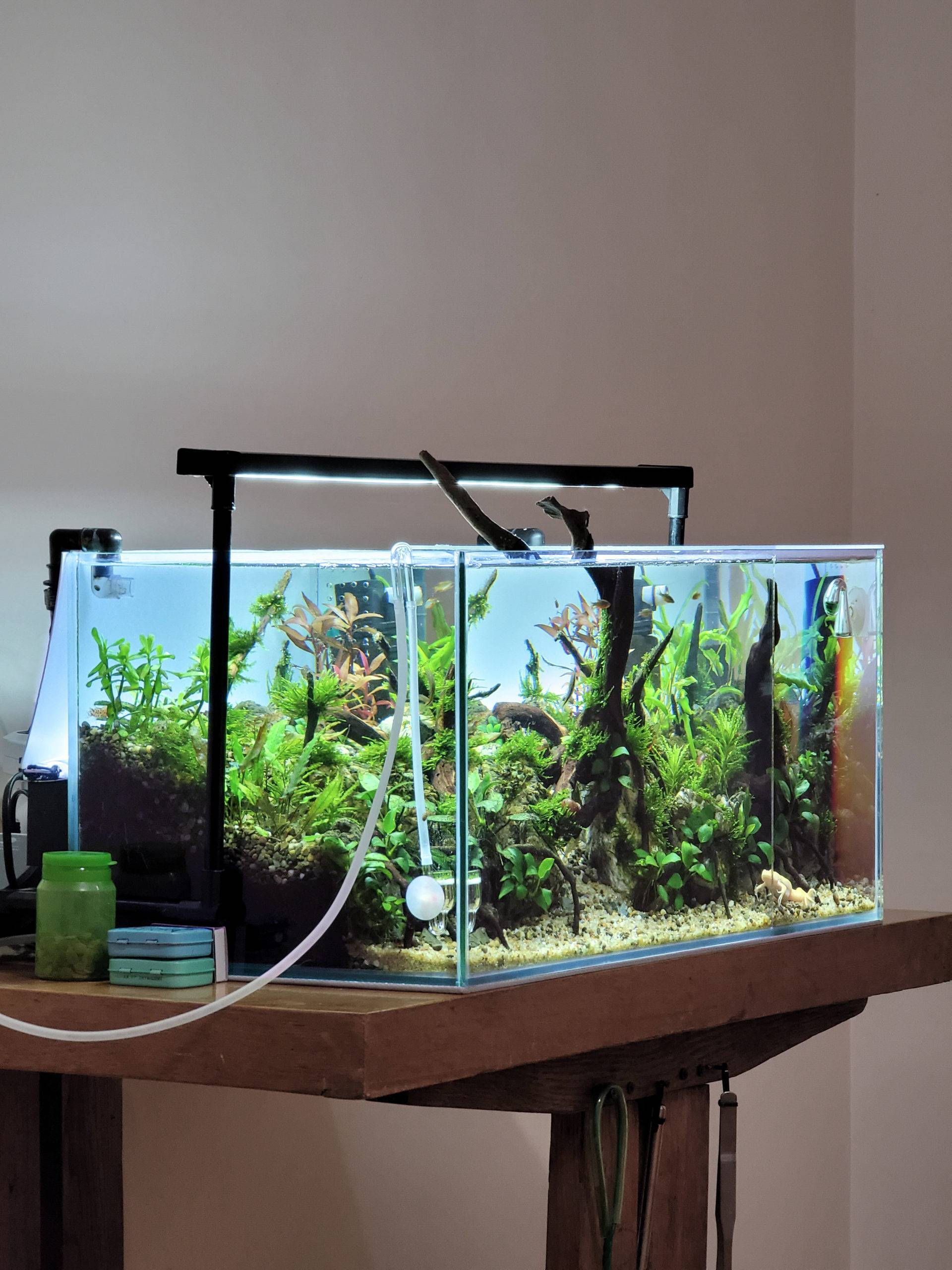 Хардскейп - наше аквариумное всё!