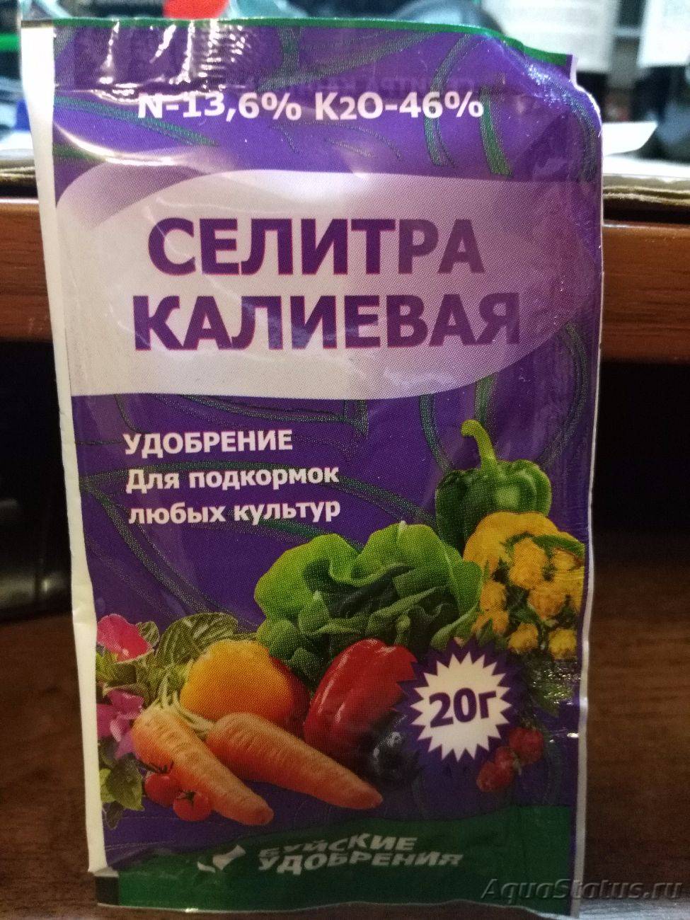 Удобрения для аквариумных растений: 5 лучших рецептов для изготовления своими руками