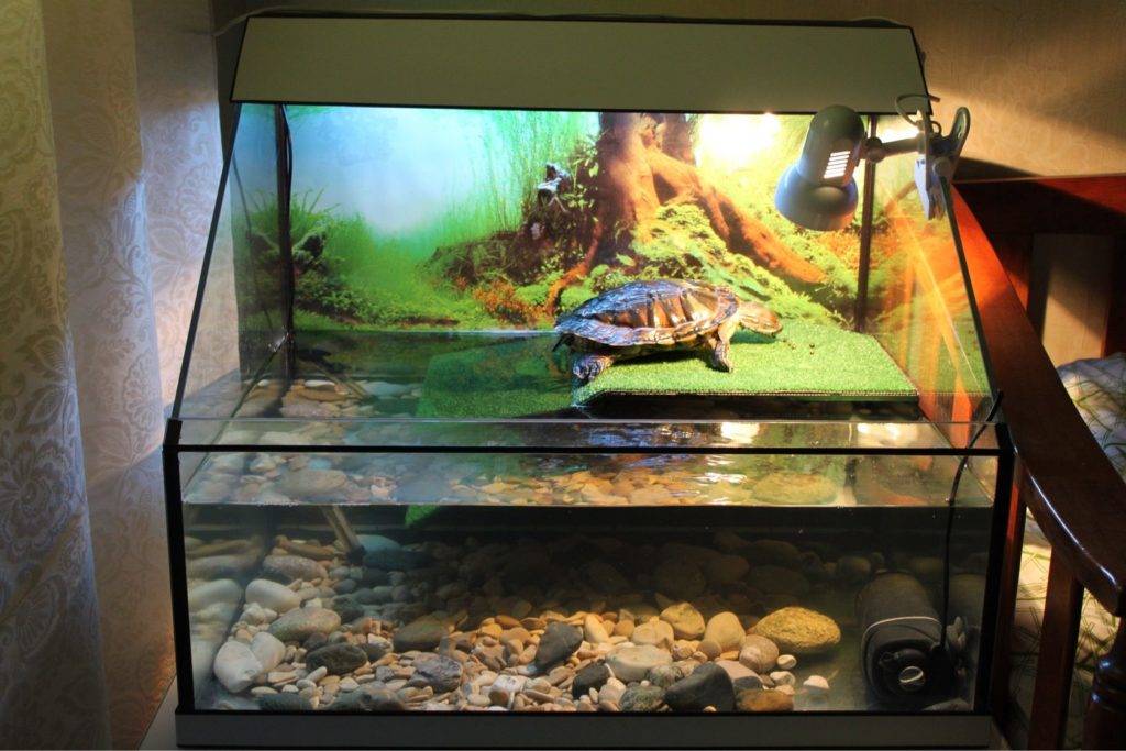 Аквариумная библиотека, книги, журналы - скачать!