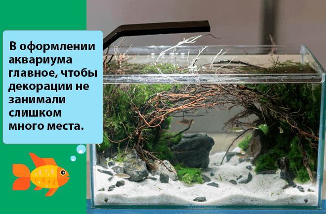 Водка в аквариуме