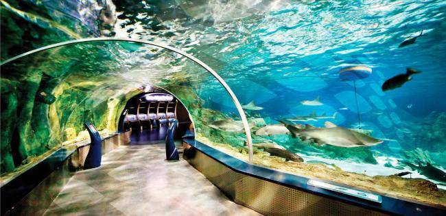 Супер-мега аквариум Берлина AquaDom