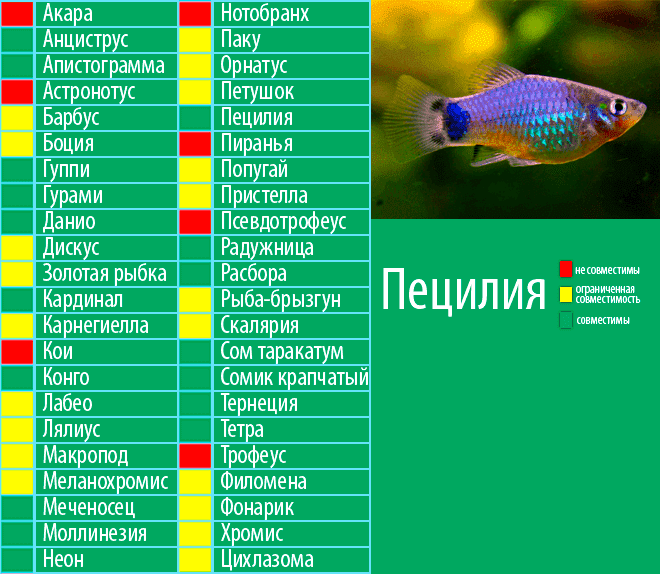 Акара