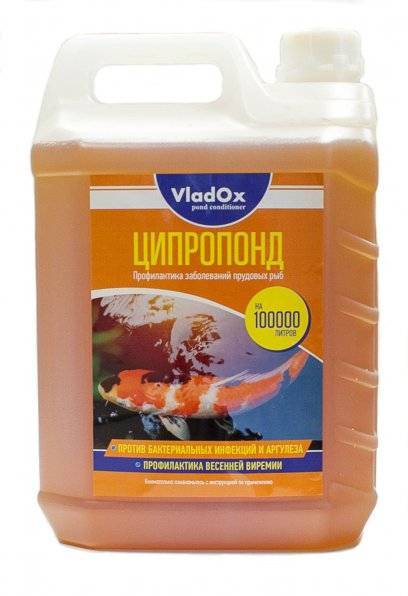Медоса против водорослей - дешево и сердито!