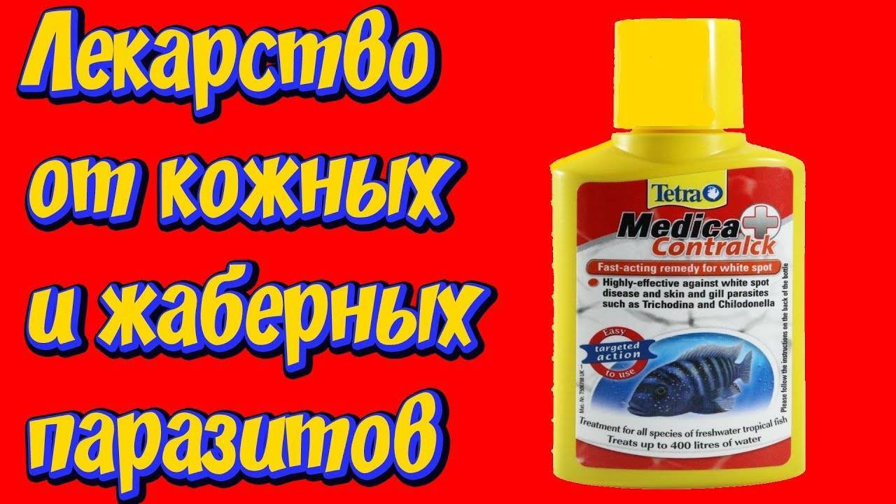 Лечение аквариумных рыб: методы лечения, медикаменты и их применение