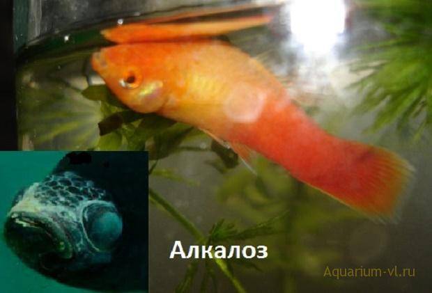 Глюгеоз