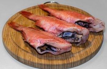 Солнечный окунь