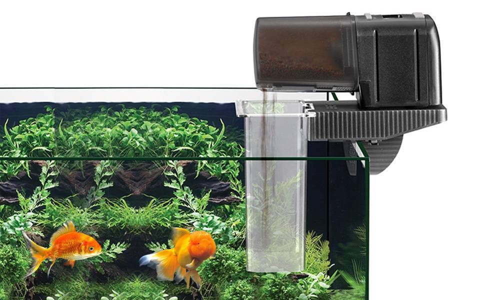 Автокормушка Tetra MyFeeder и с чем ее едят!